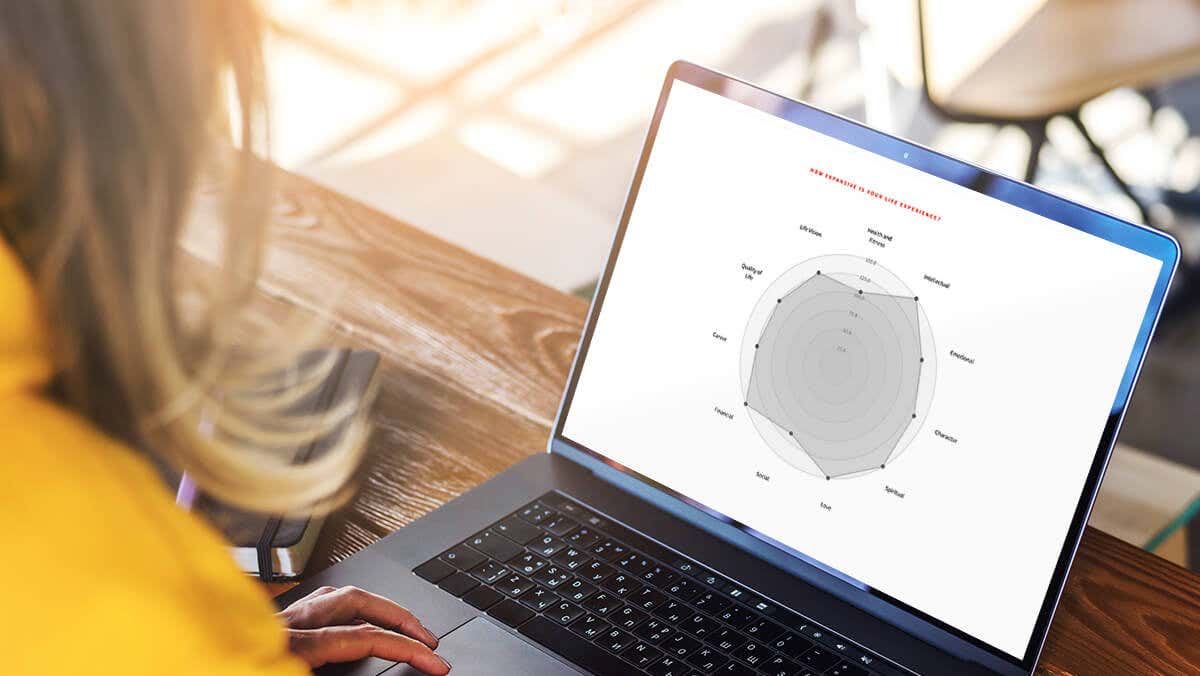 Mindvalley self-assessment outcome graph