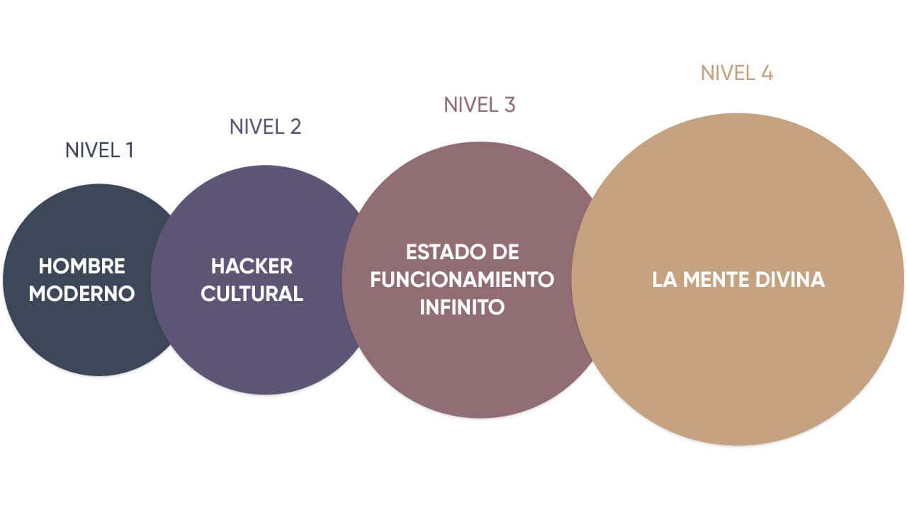 Four Levels of Human Consciousness