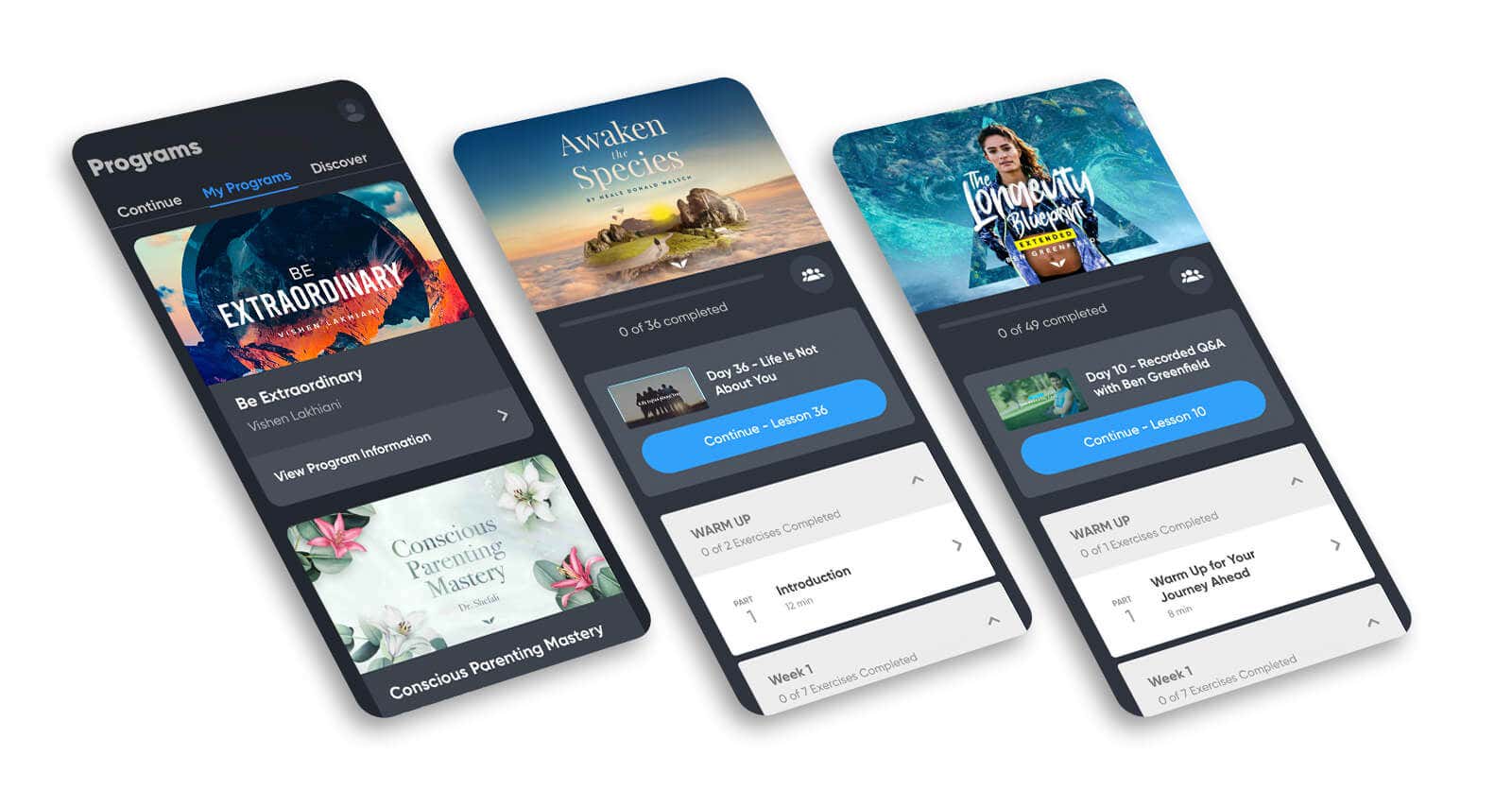Program overviews on mobile screens