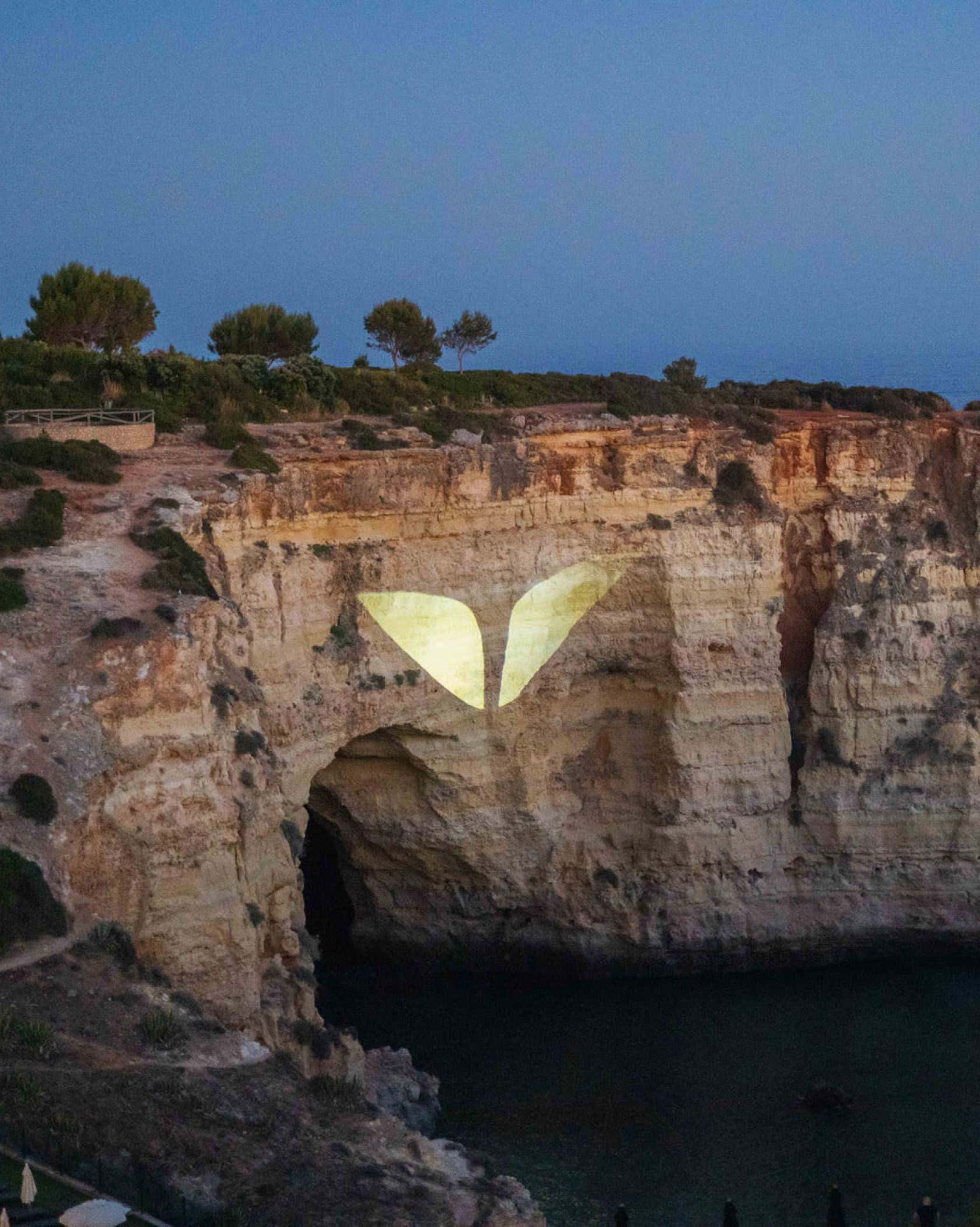 Put a good description of the photo here