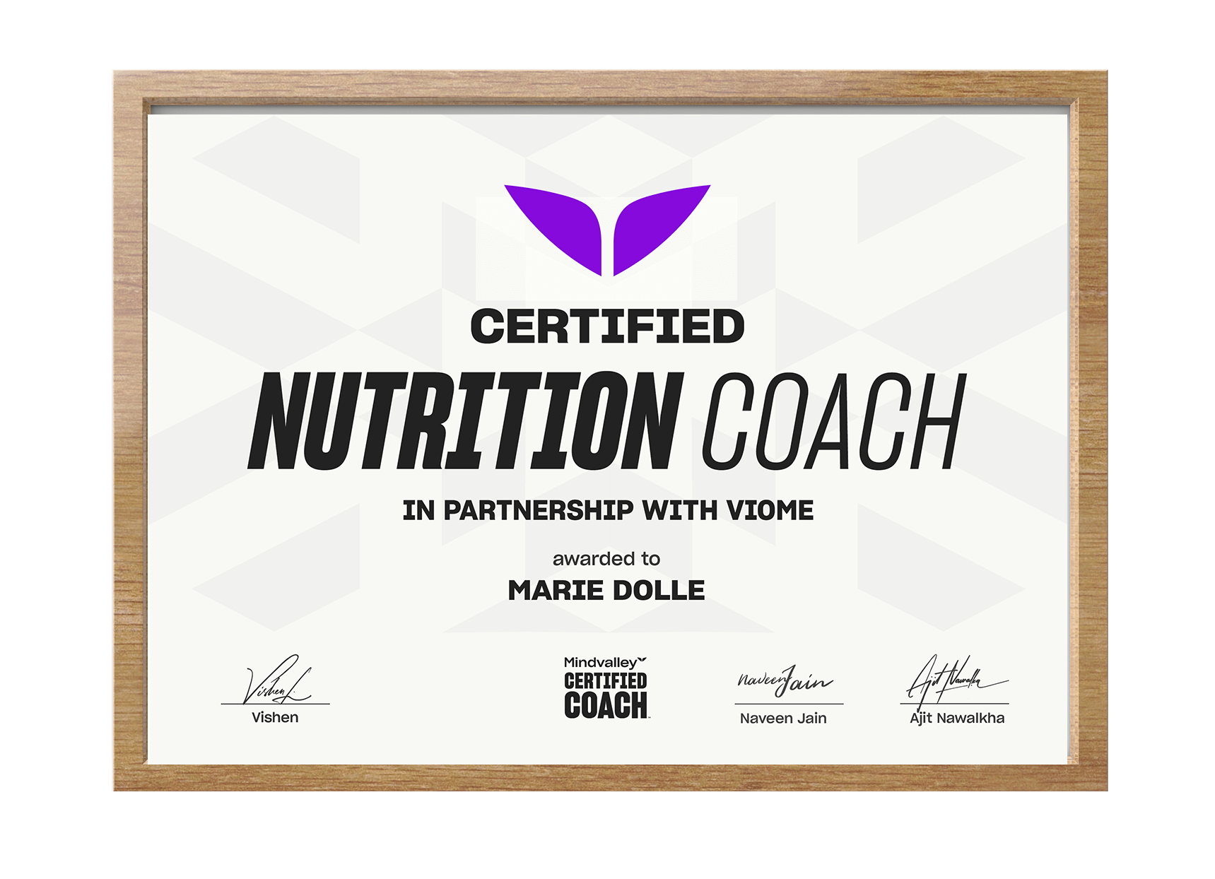 Nanodegree Bundle Image