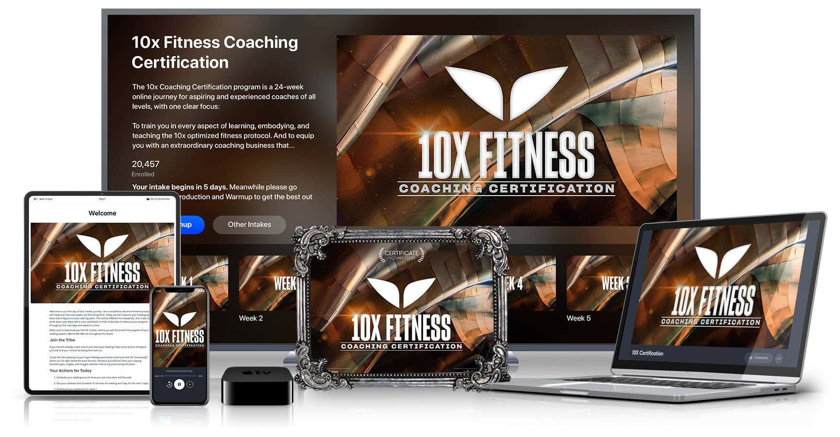 10x on various devices