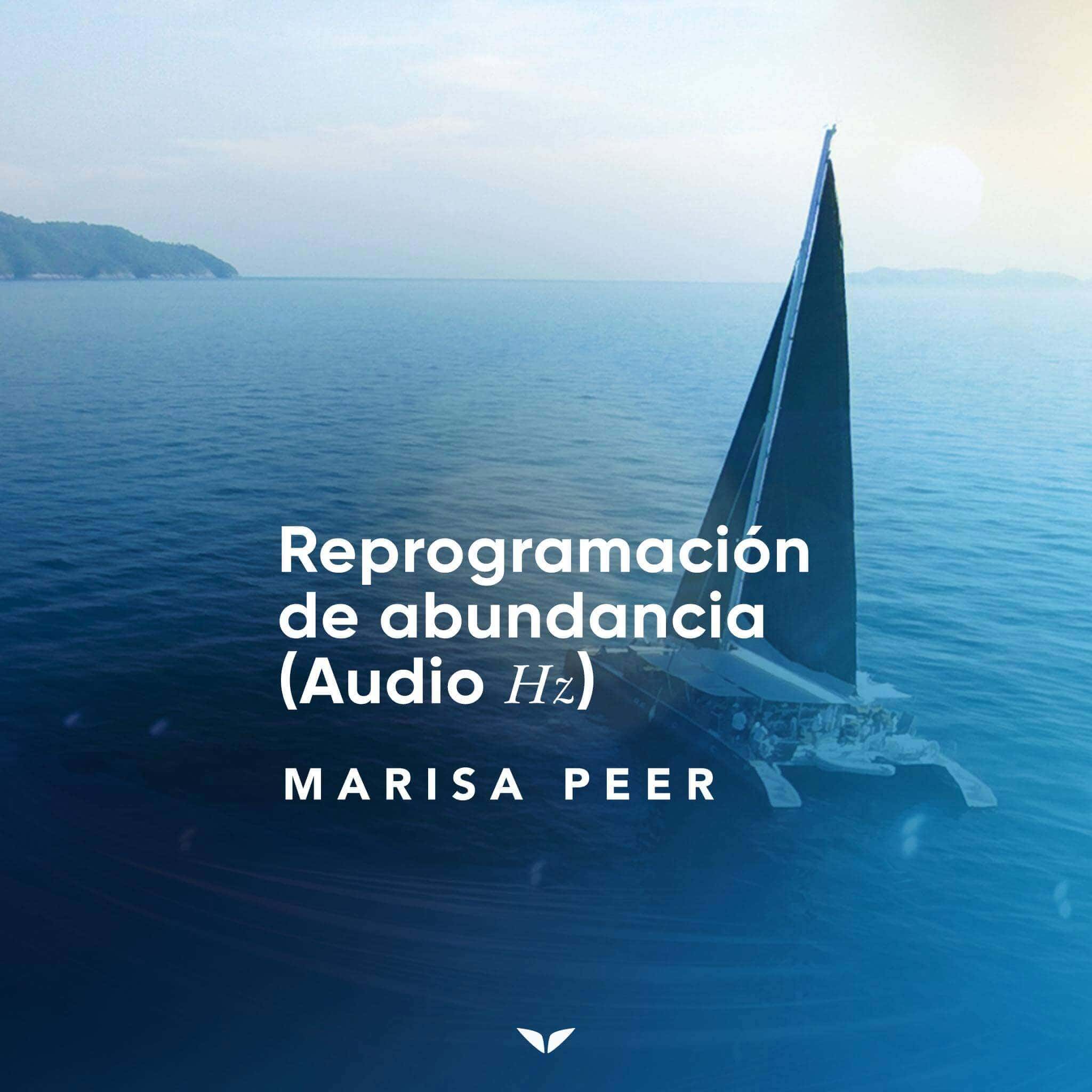 Wealth Rewiring Audio