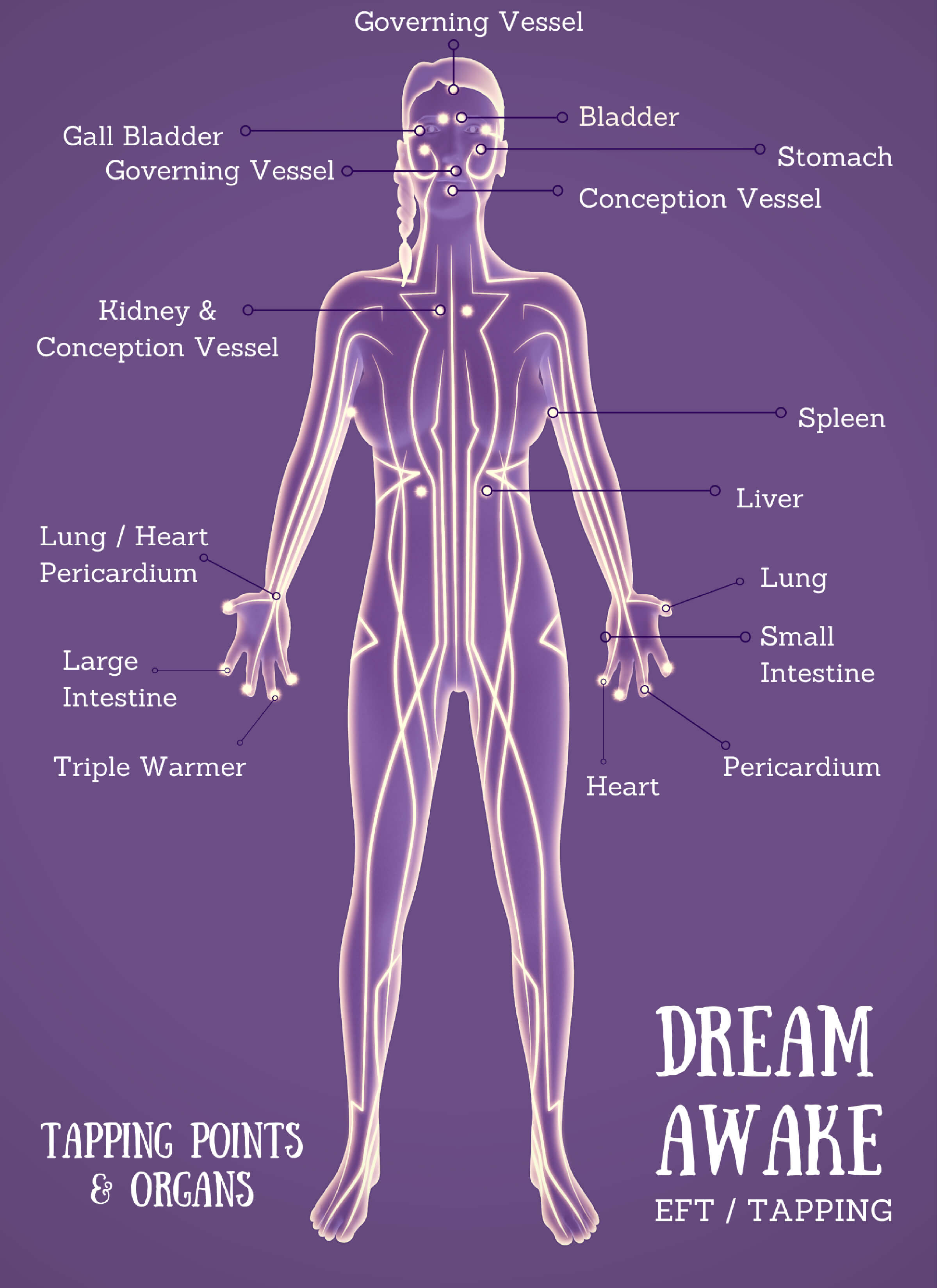 Tapping points and organs diagram