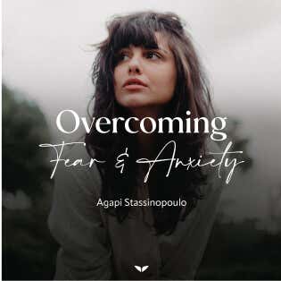 Put a good description of the photo here