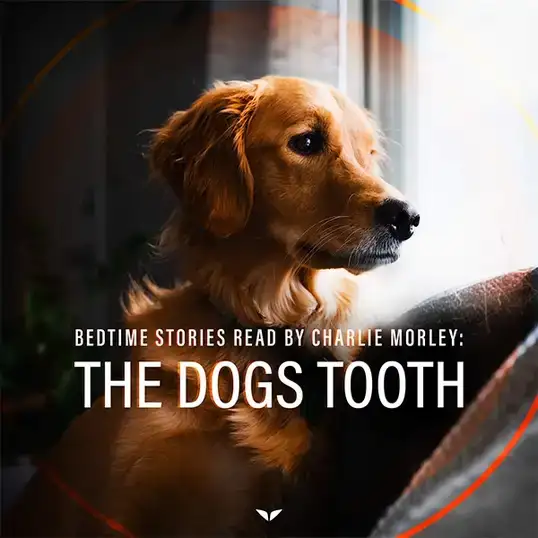 Put a good description of the photo here