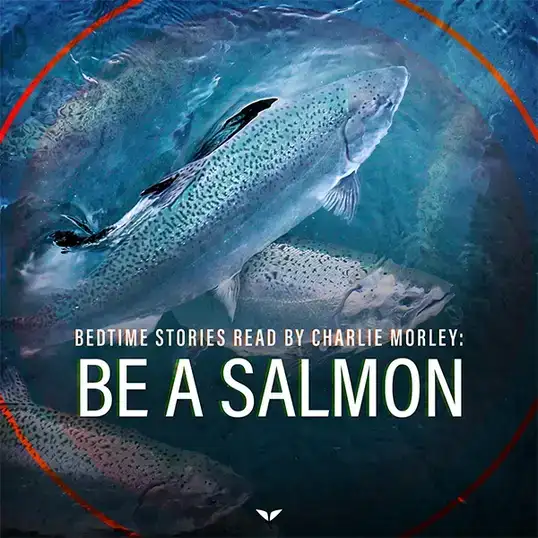 Put a good description of the photo here