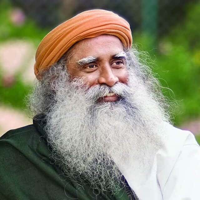 Sadhguru's Portrait